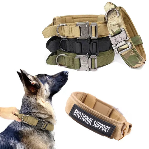 Guardian Dog Collar