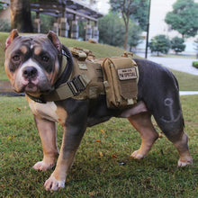 Load image into Gallery viewer, CommandPaw Rugged Canine Vest