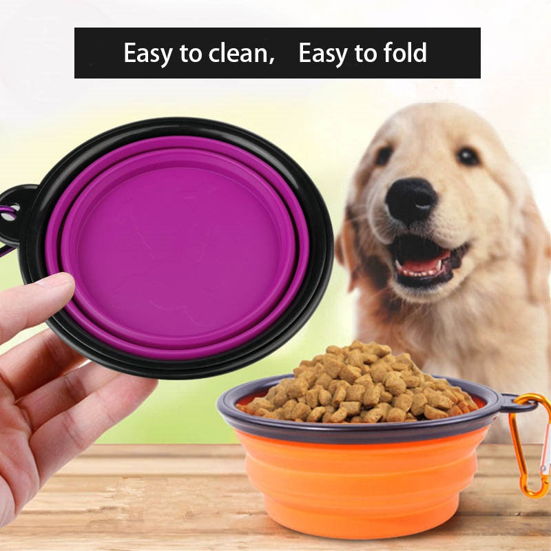 Collapsible Pet Feeding Bowl